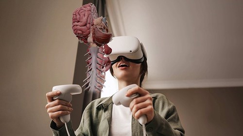 MAI 为医疗行业开发 VR 针灸和 VR 解剖模拟培训