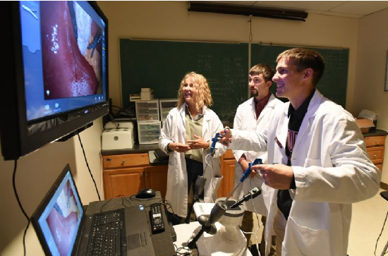 美国兽医教授与 Surgical Science 合作，开发 VR 腹腔镜手术培训课程