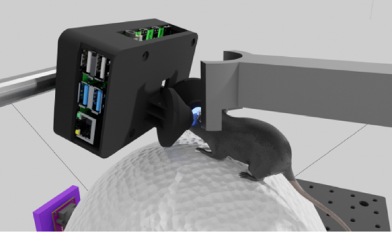 Schaffer-Nishimura Lab 开发微型 VR 系统