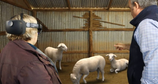 澳大利亚动物卫生局推出 AR 教育应用《 Sheep EAD AR 》