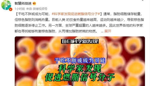 干吃不胖或成为可能 德国科学家发现促进燃脂信号分子