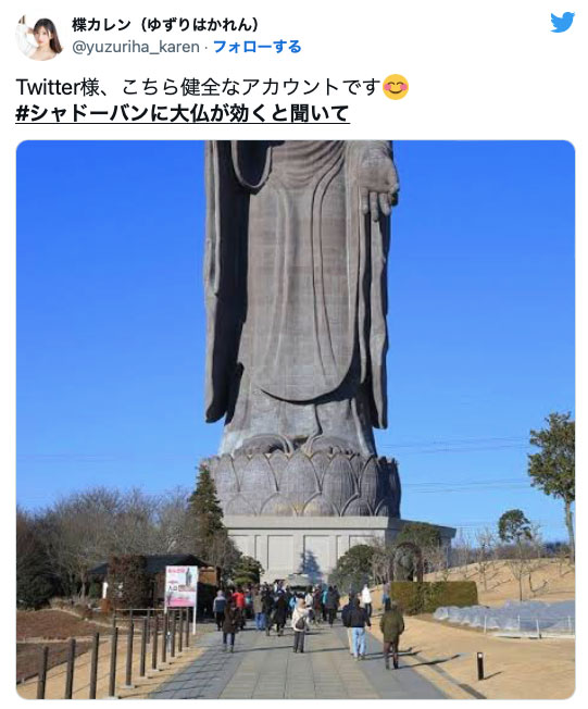 突破twitter封锁！来看女优们的大佛普拉斯！