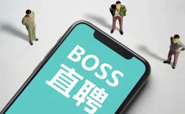 男子求职被公司辱骂“太丑，像贼一样” BOSS直聘回应了