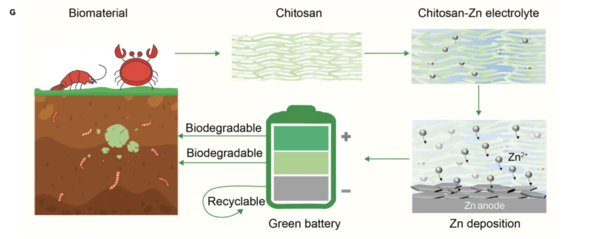 吃完的小龙虾还有这作用？科学家利用虾壳制造环保电池