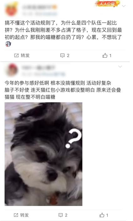 双十一新变局:“养猫”小游戏为何从惊艳开局到万人吐槽？