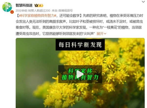 科学家称植物具有智力和记忆 还可能会用数学做决策