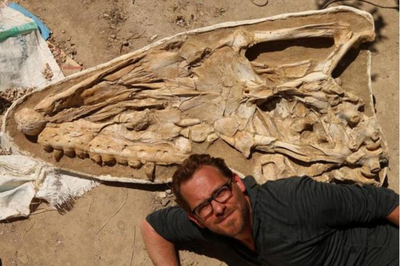 顶级掠食者！生物学家发现6500万年前巨型沧龙化石