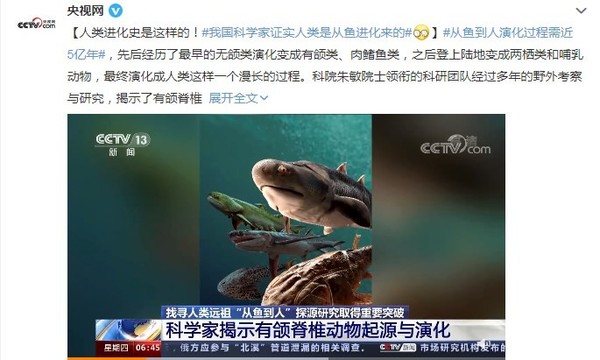 中国科学家证实人类是从鱼进化来的 进化持续近5亿年