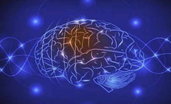 首次证明人脑细胞在体外也有智力：可在培养皿中打游戏