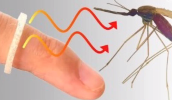 大众福音啊！科学家开发出驱蚊戒指 可长时间驱蚊