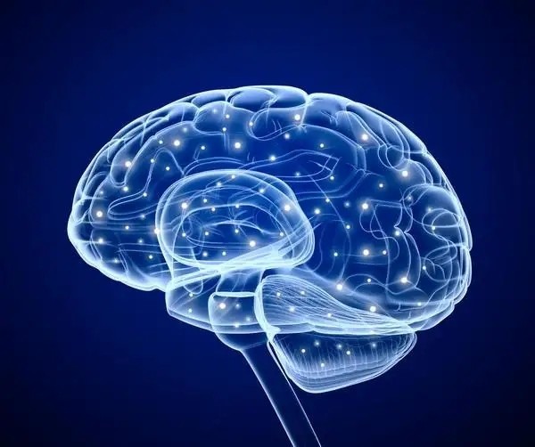 AI也需要睡觉?研究发现:AI在睡眠后学习力可媲美人脑
