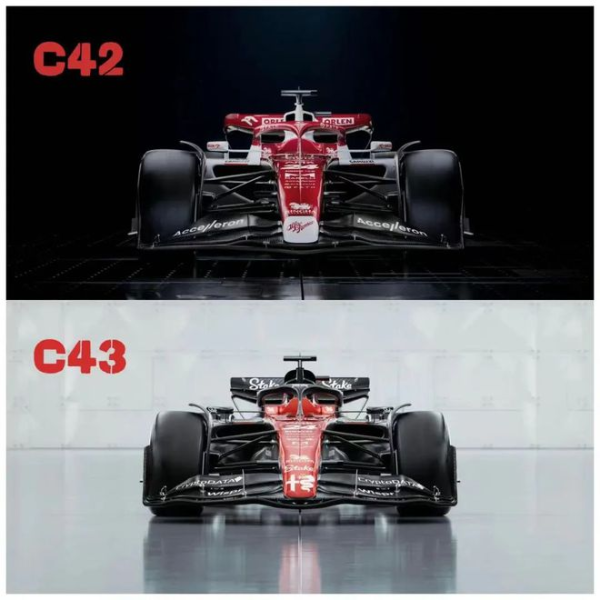 阿尔法·罗密欧F1新车发布 周冠宇：希望新赛季能进入前六