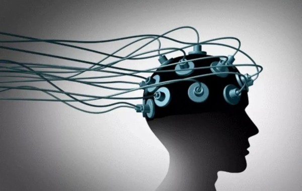 3D打印首次在生物体内造电路 有望用于脑机接口等领域