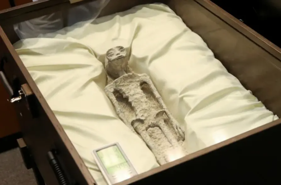 墨西哥展出两具&ldquo;外星人尸体&rdquo; 体型小巧据称有千年历史