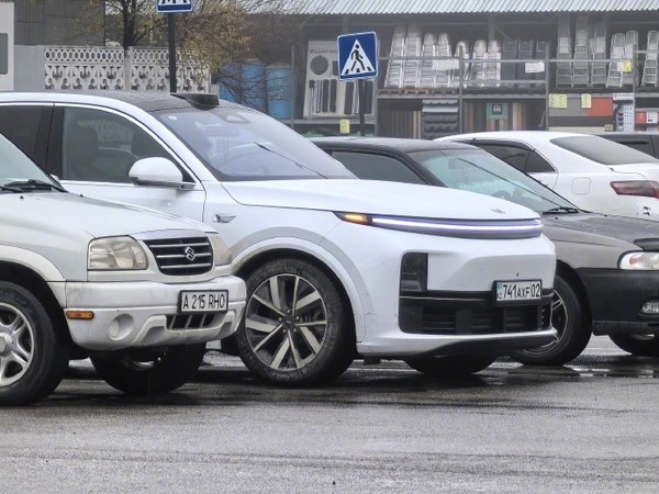 理想汽车畅销哈萨克斯坦阿拉木图 密度甚至比国内还高
