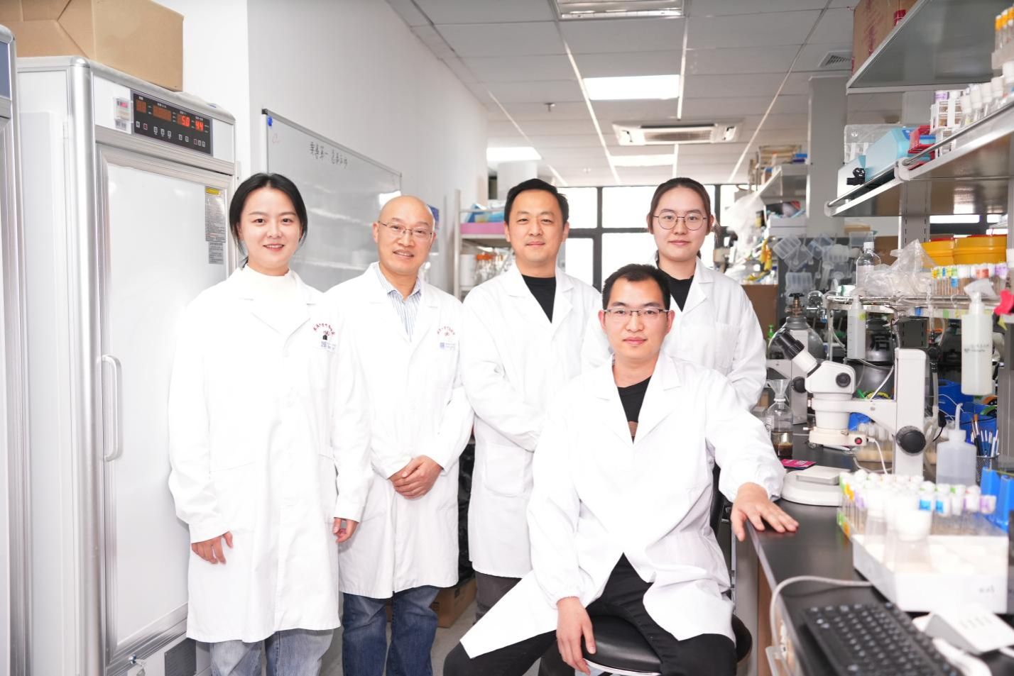 武汉大学宋威和叶旭军团队Nature发文揭示肿瘤与肾脏互作的新机制