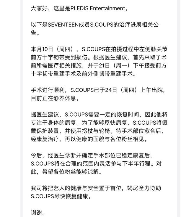 SEVENTEEN成员崔胜澈出院 将灵活参与下半年行程