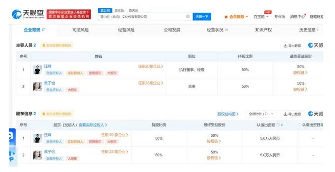 章子怡汪峰仅合资1家公司 盘点章子怡汪峰商业版图